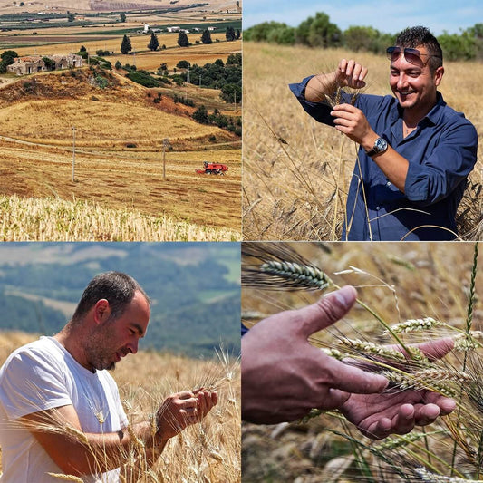 Eliche Cappelli, BIO, artigianale,grani antichi | AmoreTerra €3.25 AmoreTerra