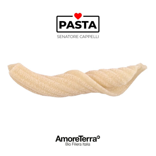 Torchietti Senatore Cappelli, BIO, artigianale | AmoreTerra €3.7 AmoreTerra
